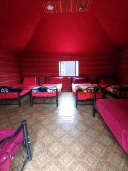bedouin habits tours camp