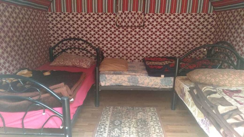 bedouin habits tours camp