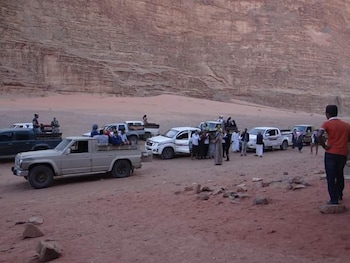 bedouin habits tours camp