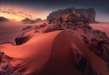bedouin habits tours camp