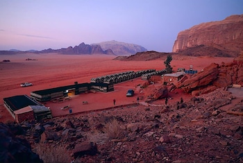 bedouin habits tours camp