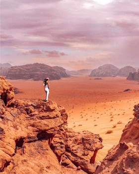 bedouin habits tours camp
