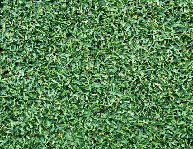 reddoorz plus balibago angeles city