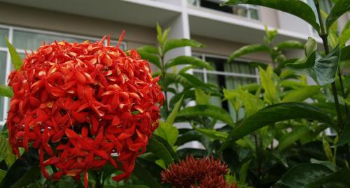 straits view hotel