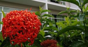straits view hotel