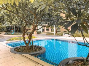 lumpini park beach cha am by sopida