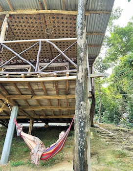 forest camp