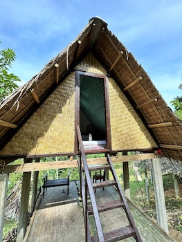 forest camp