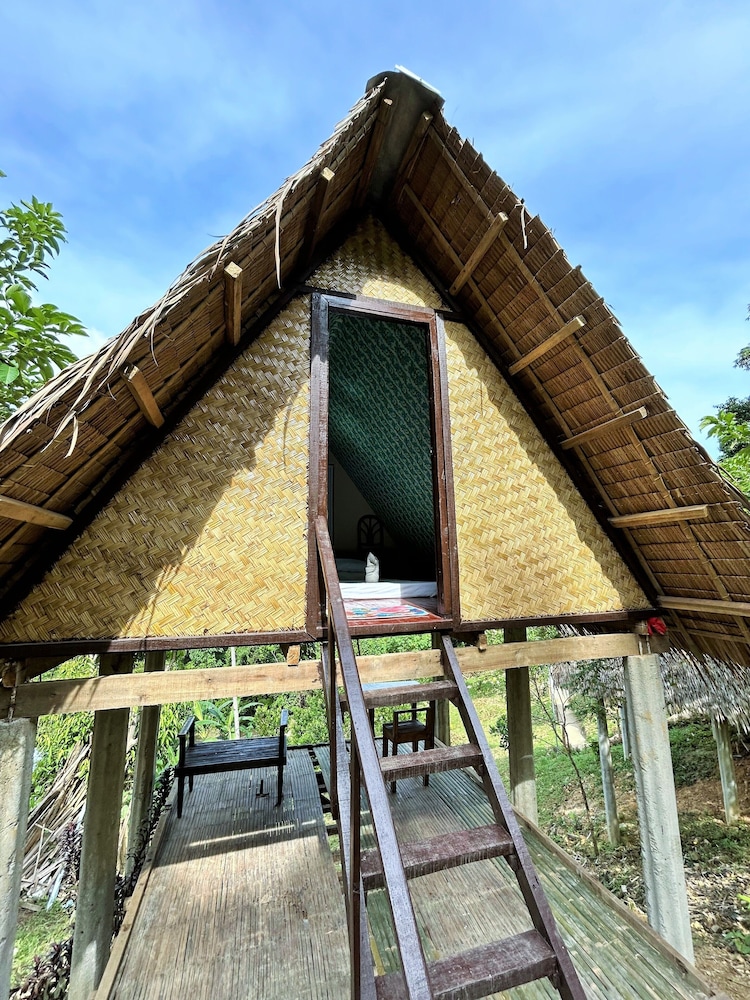 forest camp