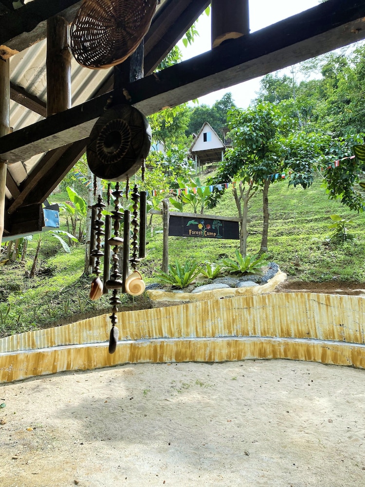 forest camp