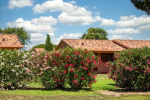 gitavillage california