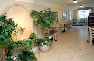 super 8 by wyndham austin south i 35