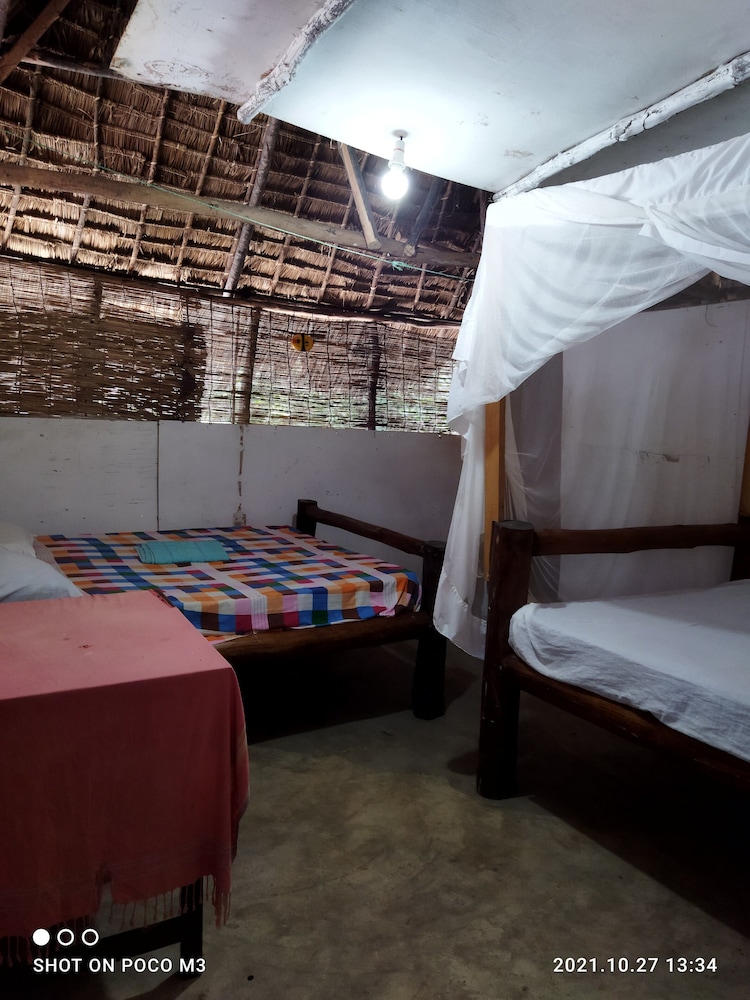 mida creek eco camp eco lodge