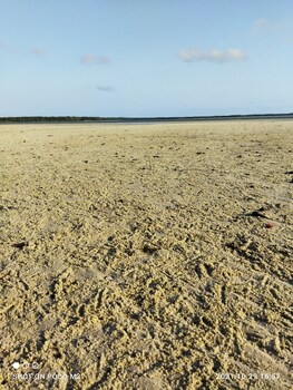 mida creek eco camp eco lodge