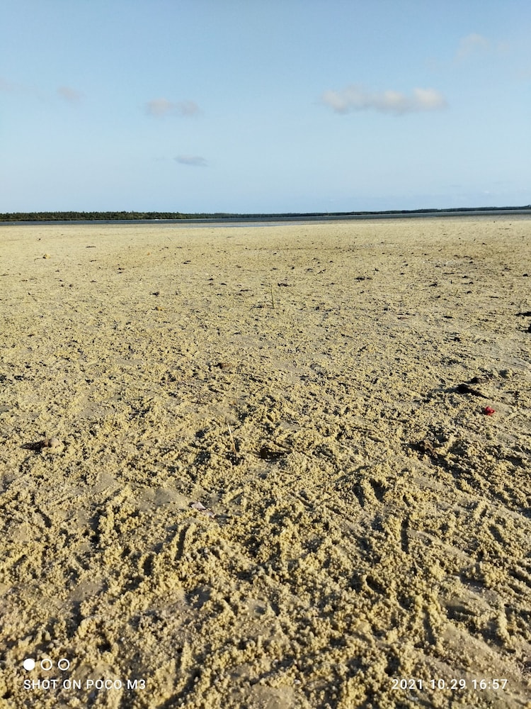 mida creek eco camp eco lodge