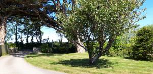 trelawne garden annexe