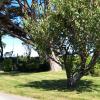 Trelawne Garden Annexe,,3.5 star