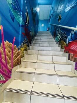 mahana lodge hostel and backpacker