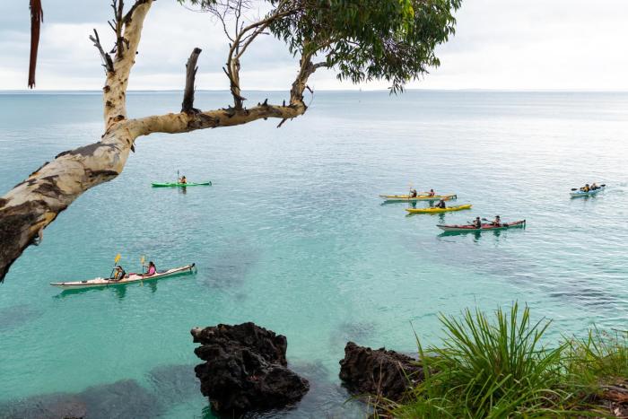 bay and bush cottages jervis bay
