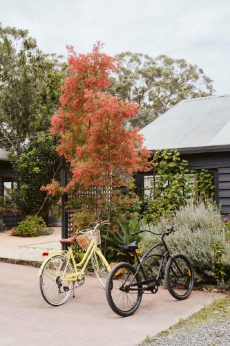 bay and bush cottages jervis bay