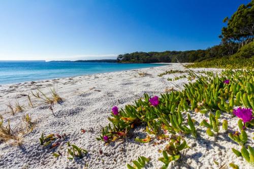 bay and bush cottages jervis bay