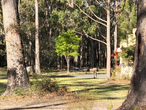 bay and bush cottages jervis bay