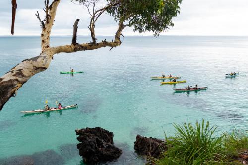 bay and bush cottages jervis bay