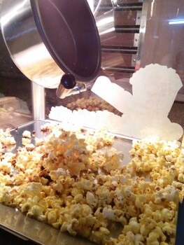 Desatebrau Newstar Homestay - Wedding Bridal House,,2.5 star