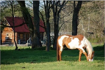 Creekwalk Inn And Cabins,,3 star
