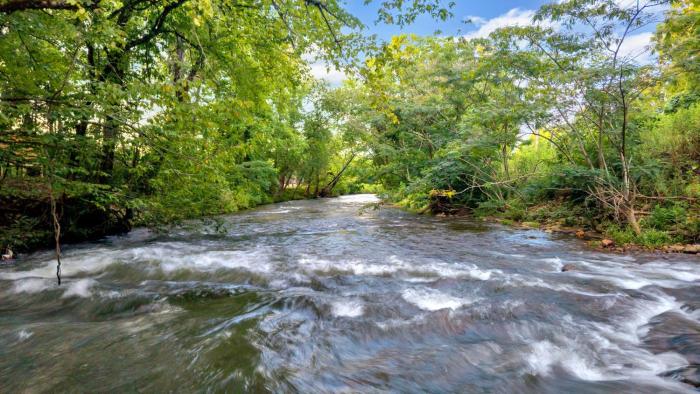 creekwalk inn and cabins