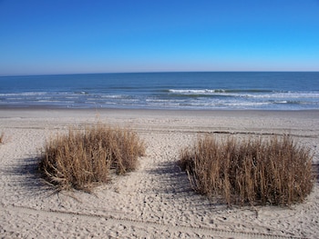 myrtle beach