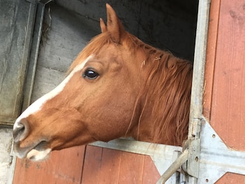 agriturismo chevres a cheval