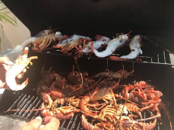 saltycrax backpackers and adventures