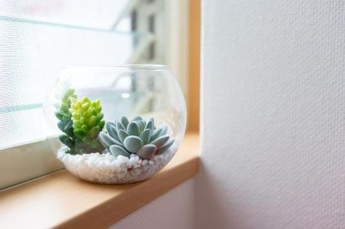 abc guesthouse 1f