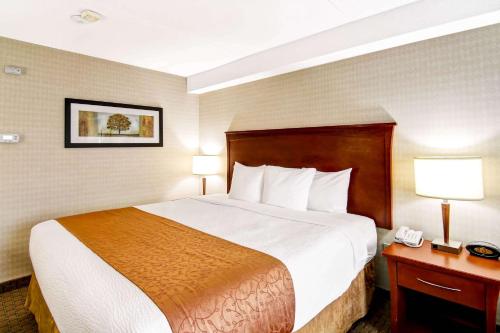 quality inn