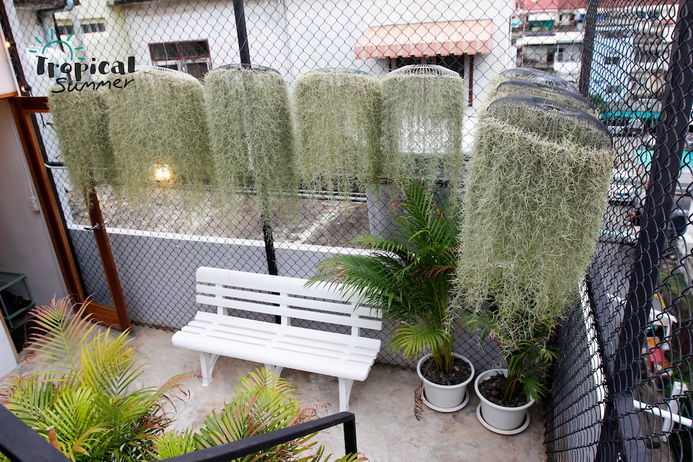 tropical summer hostel