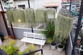 tropical summer hostel