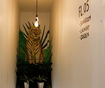 tropical summer hostel