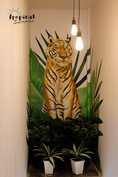 tropical summer hostel