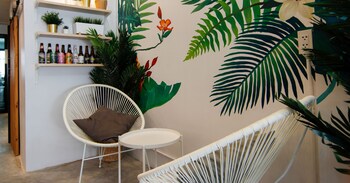 tropical summer hostel