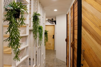 tropical summer hostel