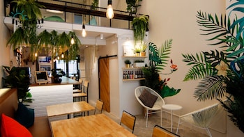 tropical summer hostel