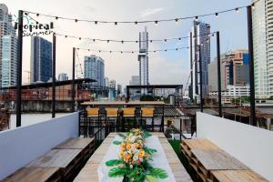 tropical summer hostel