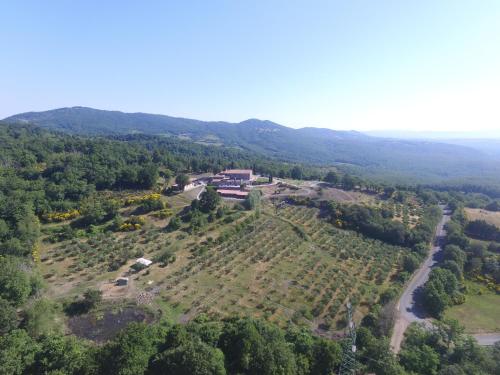 vin hotel la meridiana