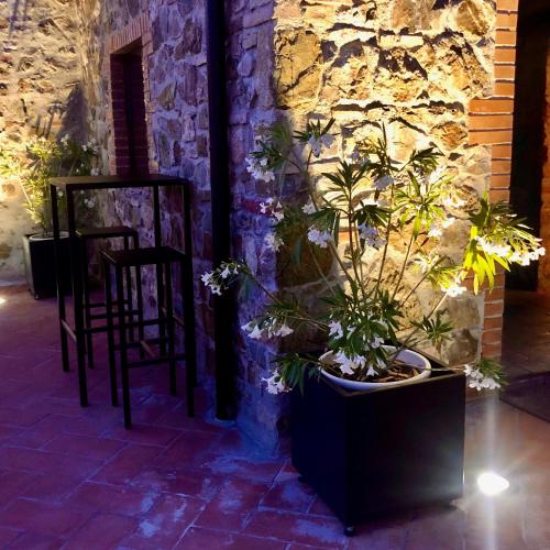 vin hotel la meridiana