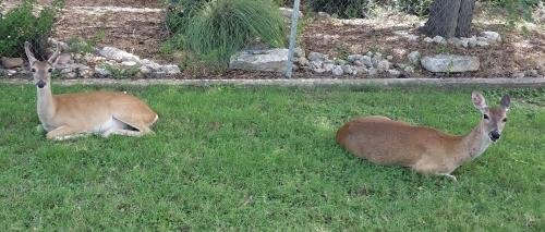 Al's Hideaway Cabin And Rv Rentals Llc,Helotes>>Bandera,3 star