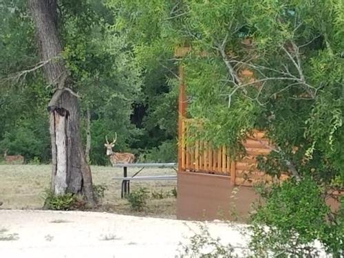 Al's Hideaway Cabin And Rv Rentals Llc,Helotes>>Bandera,3 star