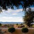 oudtshoorn