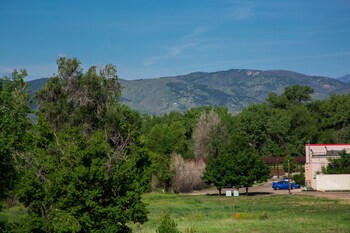 fort collins