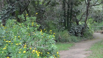 hoedspruit